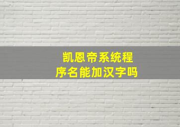 凯恩帝系统程序名能加汉字吗