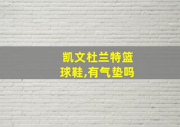 凯文杜兰特篮球鞋,有气垫吗