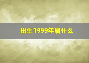 出生1999年属什么