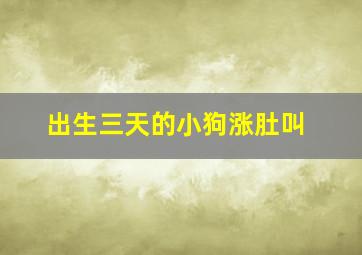 出生三天的小狗涨肚叫