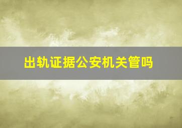 出轨证据公安机关管吗