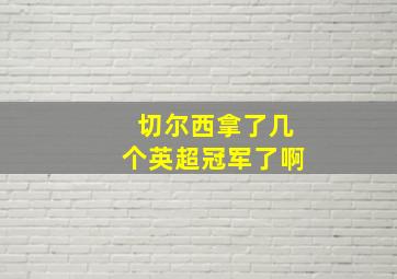 切尔西拿了几个英超冠军了啊