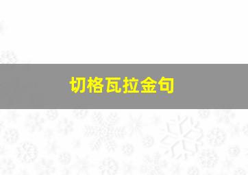 切格瓦拉金句