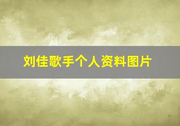 刘佳歌手个人资料图片