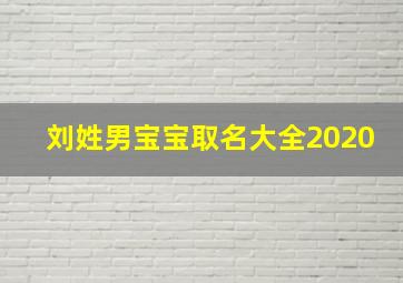 刘姓男宝宝取名大全2020