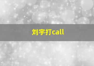 刘宇打call