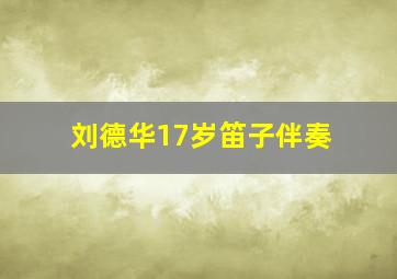 刘德华17岁笛子伴奏