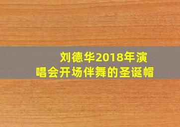 刘德华2018年演唱会开场伴舞的圣诞帽