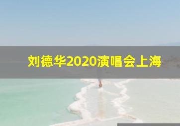 刘德华2020演唱会上海