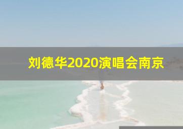 刘德华2020演唱会南京