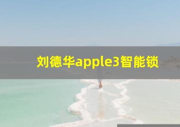 刘德华apple3智能锁