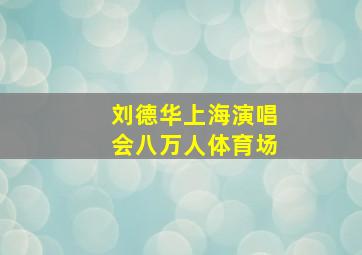 刘德华上海演唱会八万人体育场