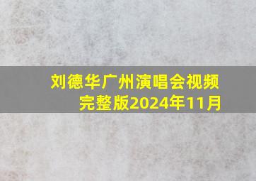 刘德华广州演唱会视频完整版2024年11月