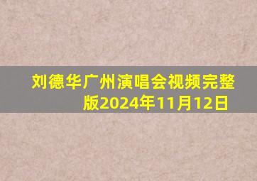 刘德华广州演唱会视频完整版2024年11月12日