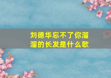 刘德华忘不了你溜溜的长发是什么歌