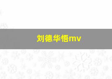 刘德华悟mv