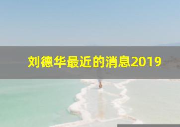 刘德华最近的消息2019