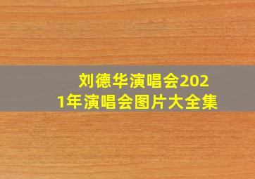 刘德华演唱会2021年演唱会图片大全集