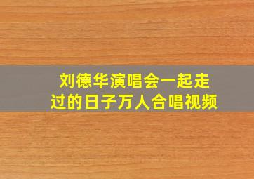 刘德华演唱会一起走过的日子万人合唱视频