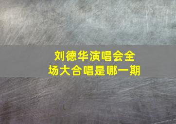 刘德华演唱会全场大合唱是哪一期