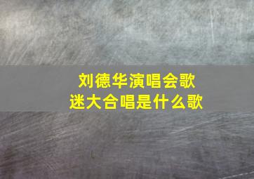 刘德华演唱会歌迷大合唱是什么歌