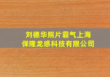 刘德华照片霸气上海保隆龙感科技有限公司