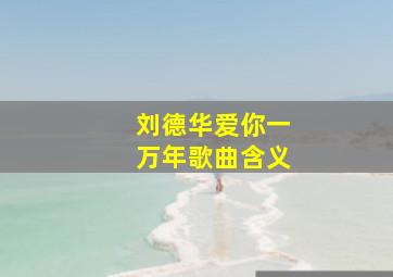 刘德华爱你一万年歌曲含义