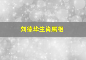 刘德华生肖属相