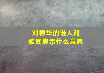 刘德华的谁人知歌词表示什么意思