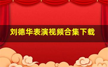 刘德华表演视频合集下载