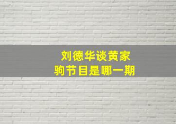 刘德华谈黄家驹节目是哪一期