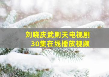 刘晓庆武则天电视剧30集在线播放视频