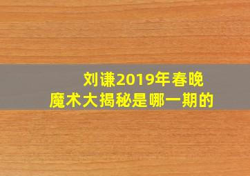 刘谦2019年春晚魔术大揭秘是哪一期的