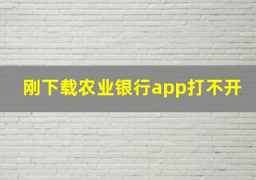 刚下载农业银行app打不开