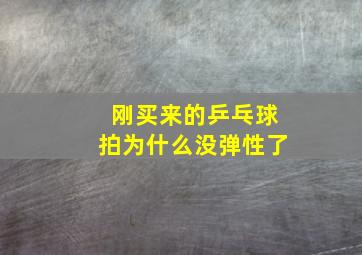 刚买来的乒乓球拍为什么没弹性了