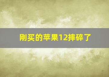 刚买的苹果12摔碎了