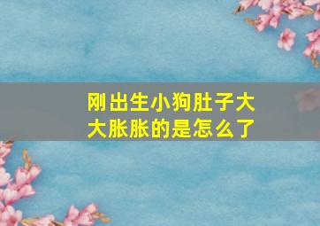 刚出生小狗肚子大大胀胀的是怎么了