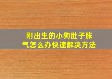 刚出生的小狗肚子胀气怎么办快速解决方法