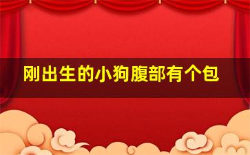 刚出生的小狗腹部有个包