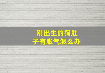 刚出生的狗肚子有胀气怎么办