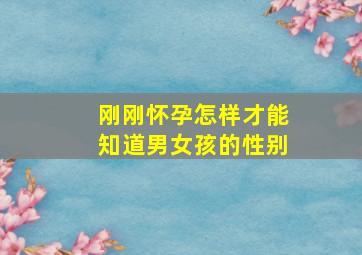 刚刚怀孕怎样才能知道男女孩的性别