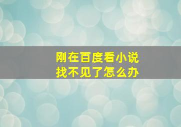 刚在百度看小说找不见了怎么办