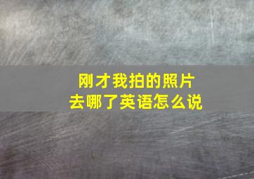 刚才我拍的照片去哪了英语怎么说