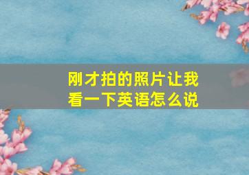 刚才拍的照片让我看一下英语怎么说