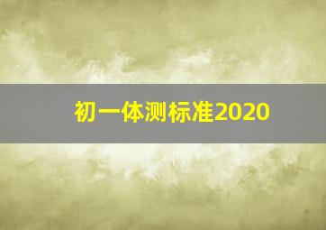 初一体测标准2020