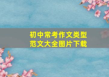 初中常考作文类型范文大全图片下载