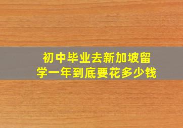 初中毕业去新加坡留学一年到底要花多少钱