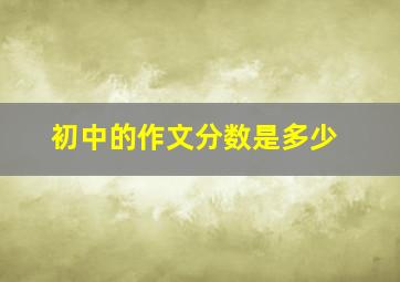 初中的作文分数是多少