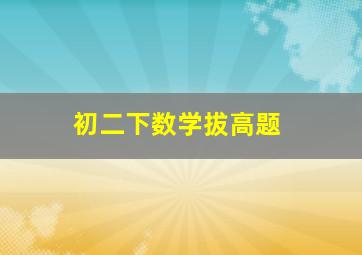 初二下数学拔高题