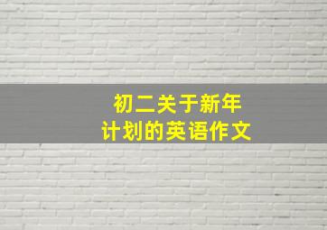 初二关于新年计划的英语作文